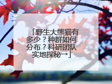 野生大熊猫有多少？种群如何分布？科研团队实地探秘→