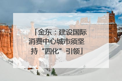 金东：建设国际消费中心城市须坚持“四化”引领