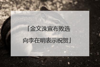 金文洙宣布败选 向李在明表示祝贺