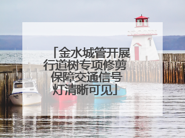 金水城管开展行道树专项修剪 保障交通信号灯清晰可见