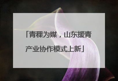 青稞为媒，山东援青产业协作模式上新