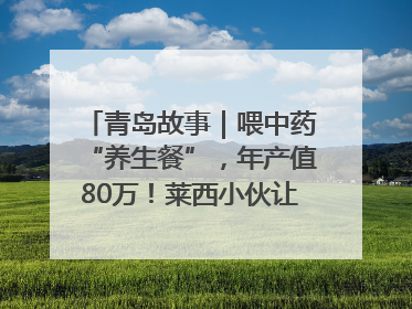 青岛故事｜喂中药“养生餐”，年产值80万！莱西小伙让“自家产”锦鲤“游”向全国
