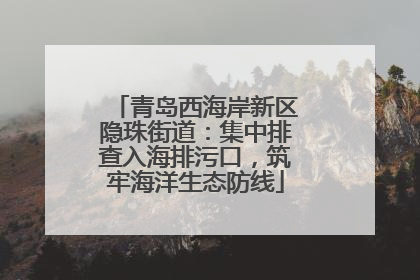 青岛西海岸新区隐珠街道：集中排查入海排污口，筑牢海洋生态防线