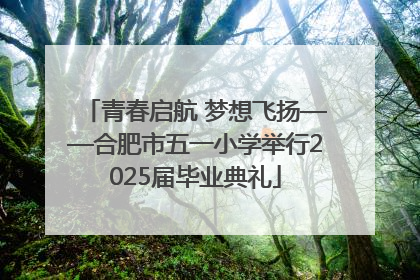 青春启航 梦想飞扬——合肥市五一小学举行2025届毕业典礼