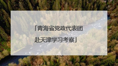 青海省党政代表团赴天津学习考察