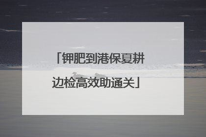 钾肥到港保夏耕 边检高效助通关