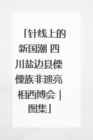 针线上的新国潮 四川盐边县傈僳族非遗亮相西博会｜图集