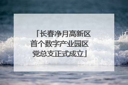 长春净月高新区首个数字产业园区党总支正式成立