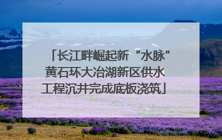 长江畔崛起新“水脉” 黄石环大冶湖新区供水工程沉井完成底板浇筑