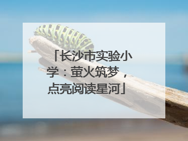 长沙市实验小学：萤火筑梦，点亮阅读星河