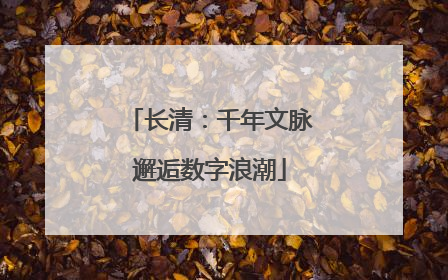 长清：千年文脉邂逅数字浪潮