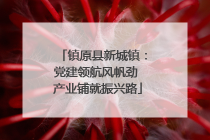 镇原县新城镇：党建领航风帆劲 产业铺就振兴路