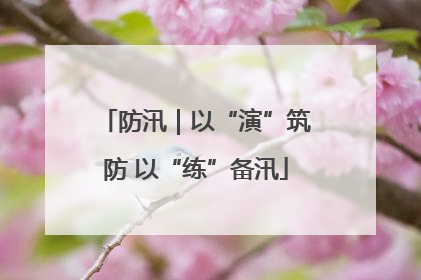 防汛｜以“演”筑防 以“练”备汛
