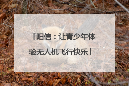 阳信：让青少年体验无人机飞行快乐
