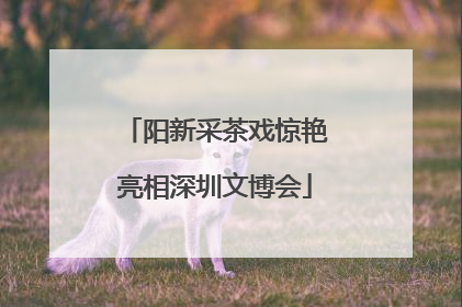 阳新采茶戏惊艳亮相深圳文博会