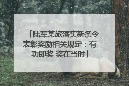 陆军某旅落实新条令表彰奖励相关规定：有功即奖 奖在当时