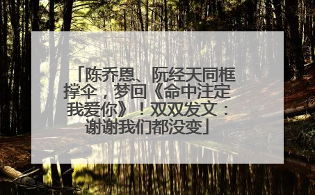 陈乔恩、阮经天同框撑伞，梦回《命中注定我爱你》！双双发文：谢谢我们都没变