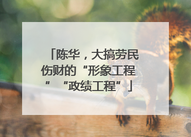 陈华，大搞劳民伤财的“形象工程”“政绩工程”