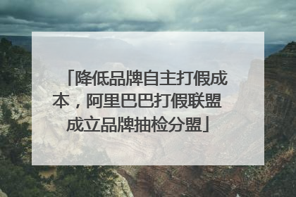 降低品牌自主打假成本，阿里巴巴打假联盟成立品牌抽检分盟