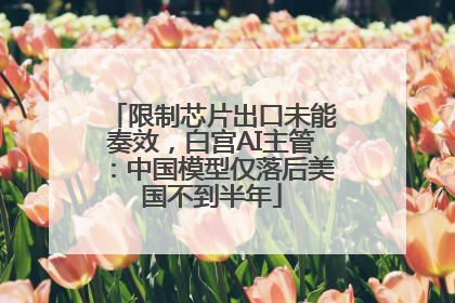 限制芯片出口未能奏效，白宫AI主管：中国模型仅落后美国不到半年