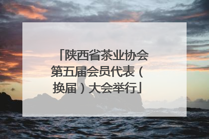 陕西省茶业协会第五届会员代表（换届）大会举行