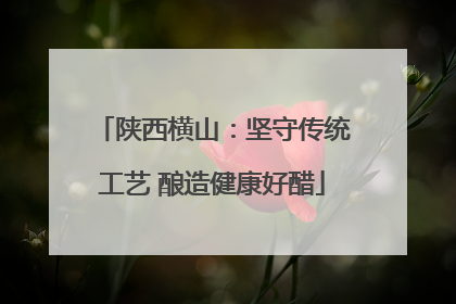 陕西横山：坚守传统工艺 酿造健康好醋