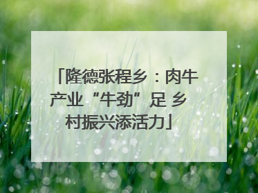 隆德张程乡：肉牛产业“牛劲”足 乡村振兴添活力