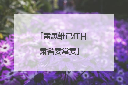 雷思维已任甘肃省委常委
