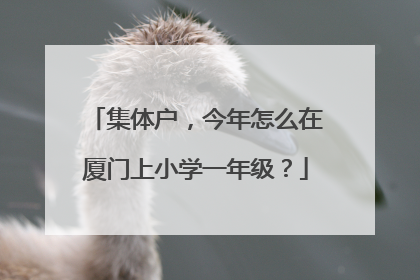 集体户，今年怎么在厦门上小学一年级？