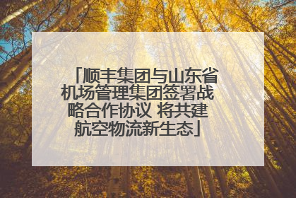 顺丰集团与山东省机场管理集团签署战略合作协议 将共建航空物流新生态