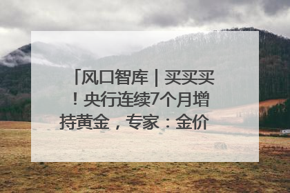 风口智库｜买买买！央行连续7个月增持黄金，专家：金价或仍易涨难跌