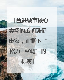 首进城市核心卖场的董明珠健康家，正撕下“格力=空调”的标签