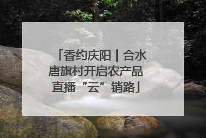 香约庆阳｜合水唐旗村开启农产品直播“云”销路