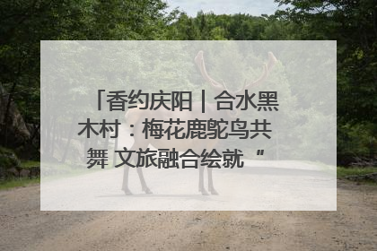 香约庆阳｜合水黑木村：梅花鹿鸵鸟共舞 文旅融合绘就“诗与远方”
