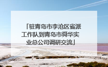 驻青岛市李沧区省派工作队到青岛市舜华实业总公司调研交流