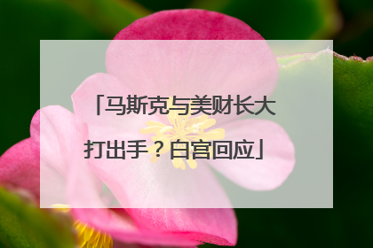 马斯克与美财长大打出手？白宫回应
