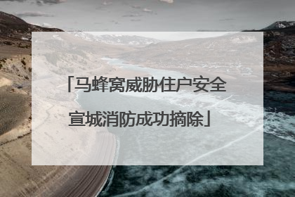 马蜂窝威胁住户安全 宣城消防成功摘除