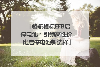 骆驼橙标EFB启停电池：引领高性价比启停电池新选择