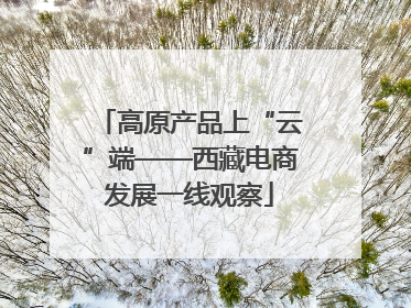 高原产品上“云”端——西藏电商发展一线观察