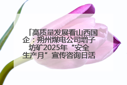 高质量发展看山西国企：朔州煤电公司增子坊矿2025年“安全生产月”宣传咨询日活动亮点纷呈