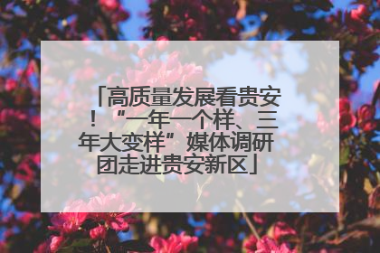 高质量发展看贵安！“一年一个样、三年大变样”媒体调研团走进贵安新区