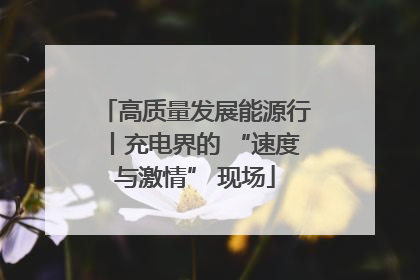 高质量发展能源行丨充电界的 “速度与激情” 现场