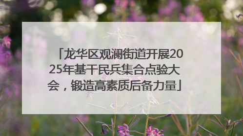 龙华区观澜街道开展2025年基干民兵集合点验大会，锻造高素质后备力量