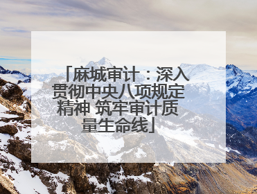麻城审计：深入贯彻中央八项规定精神 筑牢审计质量生命线
