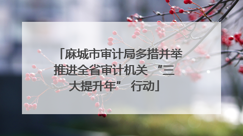 麻城市审计局多措并举推进全省审计机关 “三大提升年” 行动