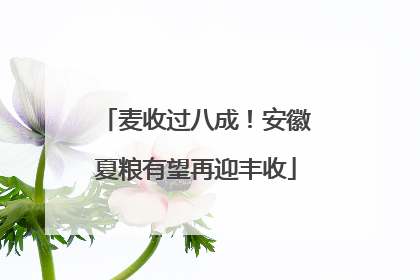 麦收过八成！安徽夏粮有望再迎丰收