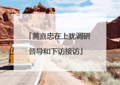 黄喜忠在上犹调研督导和下访接访