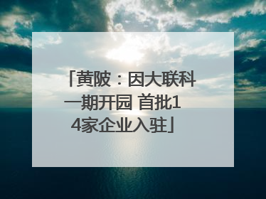 黄陂：因大联科一期开园 首批14家企业入驻