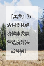 黑龙江为农村集体经济健康发展营造良好法治环境