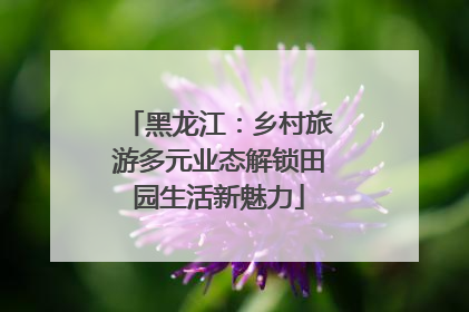 黑龙江：乡村旅游多元业态解锁田园生活新魅力